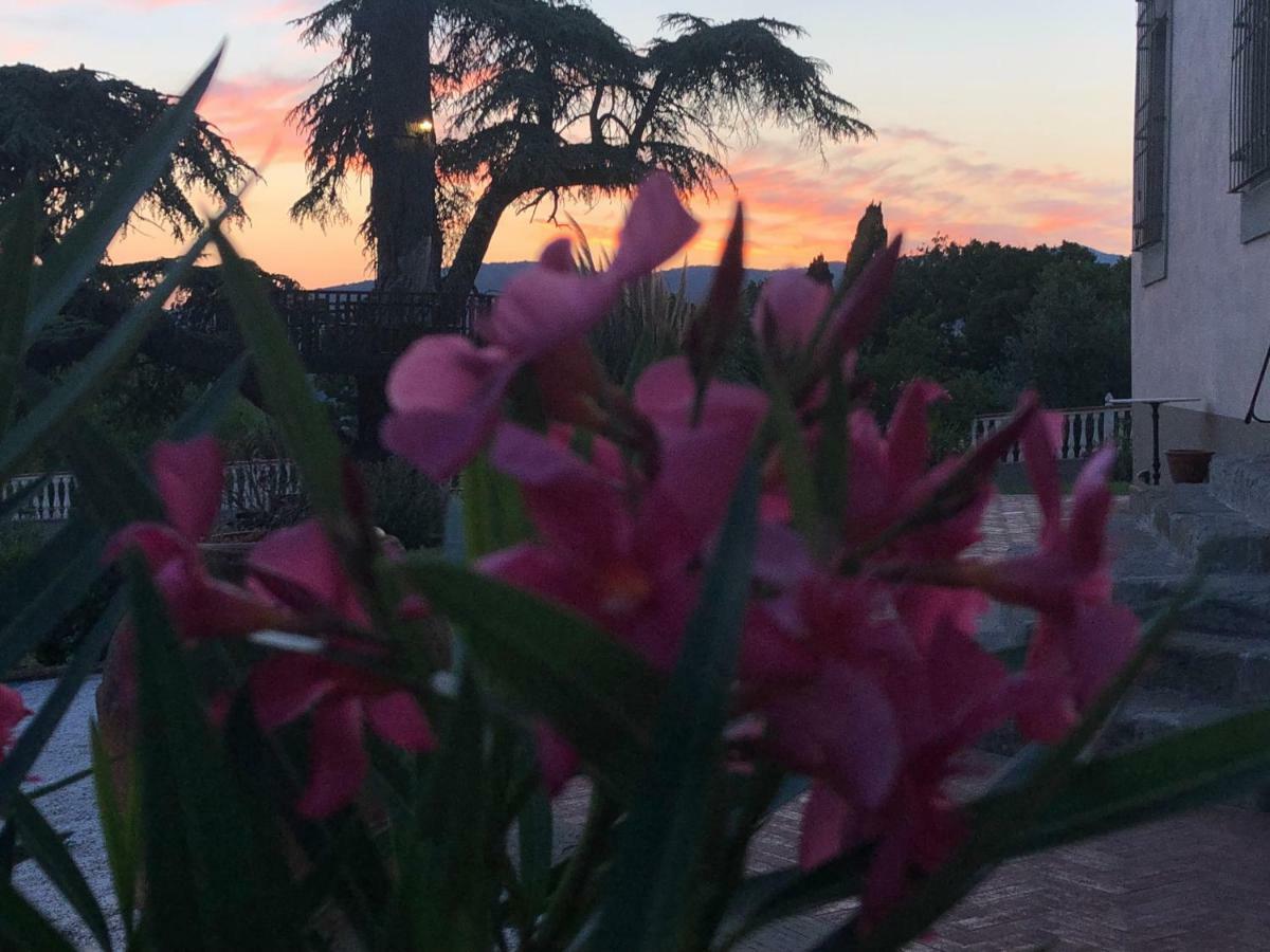 Villa D'Arte Agri Resort بونتاسيفي المظهر الخارجي الصورة